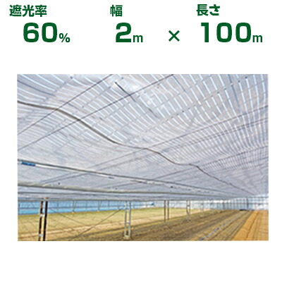 【個人宅配送OK】日本ワイドクロス 遮光ネット スリムホワイト 60 遮光率約60% 2m×100m (農業用 植物 畑 庭 育苗 園芸 遮熱 トンネル 茄子 人参 ネギ ハウス 日よけ みょうが メロン 野菜 蘭 りんご レタス 露地 ガーデニング 牛舎 椎茸 デュポンダイベック 白 200cm)