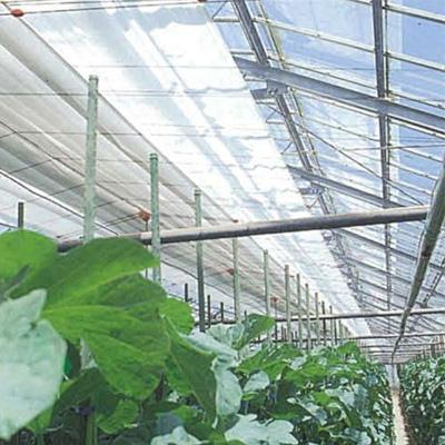 ユニチカ 引き幕用 不織布 スーパーラブシートFX 330cm×100m 2本入 20557FXZ 保湿シート・不織布-農業資材