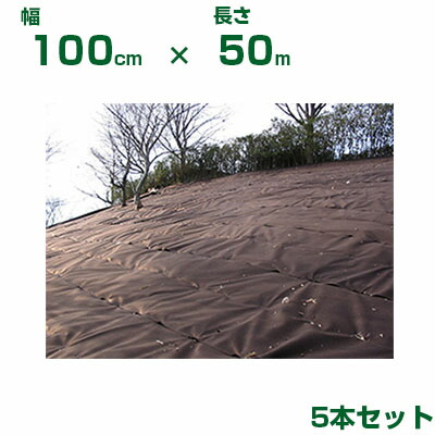 法人限定 防草シート 1m 小泉製麻 防草シート 緑化ニードルマルチ 茶 100cm X 50m 5本入 植栽併用 地被植物 広葉雑草 マルチング 耐用7年程度 ブラウン 75,867円