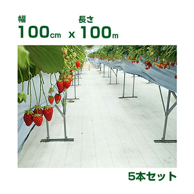 人間宅送りとどける聞き入れる 防草腰掛け 1m 小泉製麻 高無条件反射防草腰掛け 元気腰掛け 白核分裂爆弾 100珊 X 100m 5本入 高無条件反射率 光合成推しすすめる 木ノ実色付 遮熱 地温こみ上げる押さえ付ける オランダ苺 赤茄子 りんごの木 桃 葡萄 生り物
