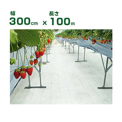 個人宅配送OK 防草シート 3m 小泉製麻 高反射防草シート ルンルンシート 白ピカ 300cm X 100m （タタミ） 高反射率 光合成促進 果実色付 遮熱 地温上昇抑制 イチゴ トマト リンゴ モモ ブドウ 果樹