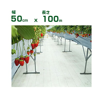 個人宅配送OK 防草シート 50cm 小泉製麻 高反射防草シート ルンルンシート 白ピカ 0.5m X 100m 高反射率 光合成促進 果実色付 遮熱 地温上昇抑制 イチゴ トマト リンゴ モモ ブドウ 果樹