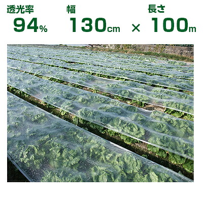 個人宅配送OK 小泉製麻 露地野菜 保温 バロン愛菜NEO 130cm X 100m 透光率94% レタス 馬鈴薯 白菜 ネギ ブロッコリー お茶 保湿 防霜 冷害