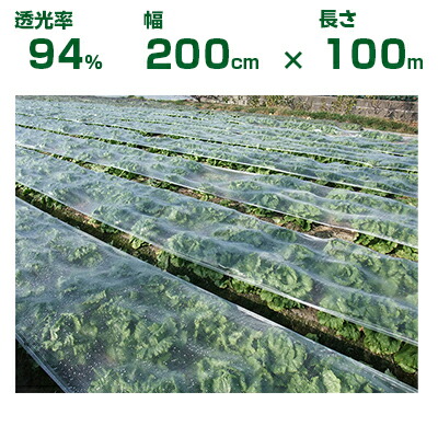 個人宅配送OK 小泉製麻 露地野菜 保温 バロン愛菜NEO 200cm X 100m 透光率94% レタス 馬鈴薯 白菜 ネギ ブロッコリー お茶 保湿 防霜 冷害