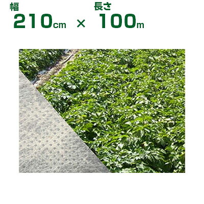 個人宅配送OK 小泉製麻 保温 不織布 2.1m BeBackシート 210cm X 100m 軽量 べたがけ 防霜 防風 防虫 防鳥 高強度