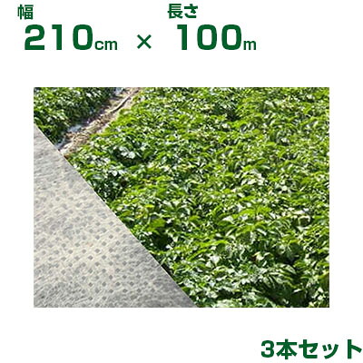 個人宅配送OK 小泉製麻 保温 不織布 2.1m BeBackシート 210cm X 100m 3本入 軽量 べたがけ 防霜 防風 防虫 防鳥 高強度 40,011円