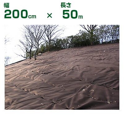 50m Ryo 【楽天市場】小泉製麻 防草シート 緑化ニードルマルチ 茶 200cm X 50m 植栽併用:アグリズ楽天市場店