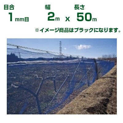 【個人宅配送OK】日本ワイドクロス 防風ネット ワイドラッセル防風網 BK100 黒 目合1mm目 2m×50m(農業用 家庭菜園 畑 ハウス 農業資材 農園 園芸 果樹 野菜 植木 庭木 りんご レモン みかん オレンジ 雪 網目 台風 ベランダ ブラック 幅 200cm) 24,413円