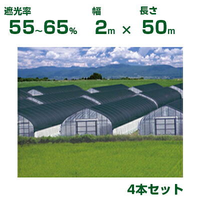 【個人宅配送OK】日本ワイドクロス 遮光ネット ワイドスクリーン BK1008 平織 ブラック 遮光率55~65% 2m×50m 4本 (農業用 植物 畑 庭 育苗 園芸 遮熱 トンネル 茄子 人参 ネギ ハウス 日よけ みょうが メロン 野菜 蘭 りんご レタス 露地 ガーデニング 牛舎 椎茸 200cm)|アグリズ店