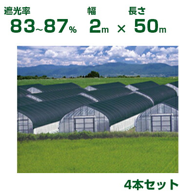 【個人宅配送OK】日本ワイドクロス 遮光ネット ワイドスクリーン BK2408 カラミ織 ブラック 遮光率83～87% 2m×50m 4本(農業用 植物 畑 庭 育苗 園芸 遮熱 トンネル 茄子 人参 ネギ ハウス 日よけ みょうが メロン 野菜 蘭 りんご レタス 露地 ガーデニング 牛舎 椎茸 200cm)