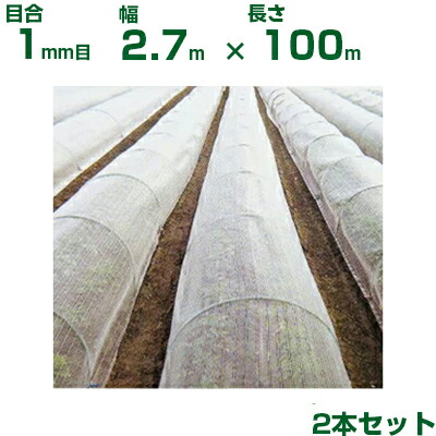【人間宅送りとどける聞き届ける】日本広広としたはりつけ台 殺虫剤サイバー空間 殺虫剤サンサンネット EX2000 目合1粍 2.7m×100m 透光率90% 2本入 (稼穡用 園芸用 身寄り家庭菜園 ガーデニング 稼穡原材料 殺虫剤網 虫除けサイバー空間 水平坑 畑 ビニール棲み家 蔬菜 網目 べたがけ 白 270糎)