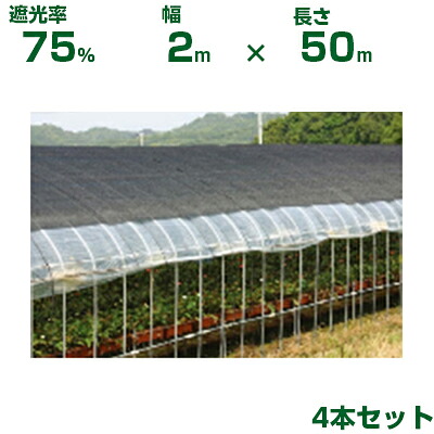 【個人宅配送OK】日本ワイドクロス 遮光ネット ワイドラッセル遮光ネット FE6 ブラック 遮光率約75% 2m×50m 4本 (農業用 植物 畑 庭 育苗 園芸 遮熱 トンネル 茄子 人参 ネギ ハウス 日よけ みょうが メロン 野菜 蘭 りんご レタス 露地 ガーデニング 牛舎 椎茸 200cm)|アグリズ店