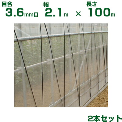 【人間宅送りとどける聞き入れる】日本広広としたはりつけ台 殺虫剤サイバー空間 サンサンはちサイバー空間 HM3388 目合3.6粍目 2.1m×100m 透光率95% 2本入 (農学用 園芸用 農学原材料 殺虫剤網 虫除けサイバー空間 畑 ビニール住み家 蔬菜 網目 丸花蜂 ハチサイバー空間 210珊)