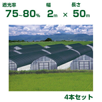 【個人宅配送OK】日本ワイドクロス 遮光ネット ワイドスクリーン S1012 シルバー 遮光率75～80% 2m×50m 4本 (農業用 植物 畑 庭 育苗 園芸 遮熱 トンネル 茄子 人参 ネギ ハウス 日よけ みょうが メロン 野菜 蘭 りんご レタス 露地 ガーデニング 牛舎 椎茸 銀 200cm)