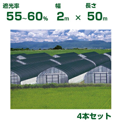 【個人宅配送OK】日本ワイドクロス 遮光ネット ワイドスクリーン S1208 シルバー 遮光率55~60% 2m×50m 4本 (農業用 植物 畑 庭 育苗 園芸 遮熱 トンネル 茄子 人参 ネギ ハウス 日よけ みょうが メロン 野菜 蘭 りんご レタス 露地 ガーデニング 牛舎 椎茸 銀 200cm)|アグリズ店