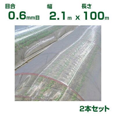 【人間宅送りとどける聞き入れる】日本広広としたはりつけ台 殺虫剤サイバー空間 サンサンネット ソ航空 SL3200 目合0.6粍目 2.1m×100m 透光率87% 2本入 (農学用 園芸用 身寄り家庭菜園 農学原材料 殺虫剤網 虫除けサイバー空間 水平坑 畑 ビニール住み家 蔬菜 網目 べたがけ 白 アブラムシ アザミ馬匹 210珊)