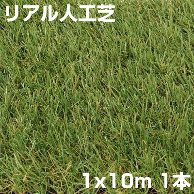 ｼﾝｾｲ ﾘｱﾙ人工芝 艶消 芝丈 30粍 1m X 10m 無光沢 芝草 真っただ中パイル 一巻き手合い DIY ガーデニング 歩廊 ドッグラン ガーデニング・農業-芝生