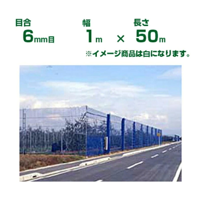 ダイオ化成 防風ネット ダイオネット 160 白 6mm目 1m&times;50m(防風網)(農業用)(農業資材)(農園)(園芸)(家庭菜園)(代引不可)｜アグリズ店