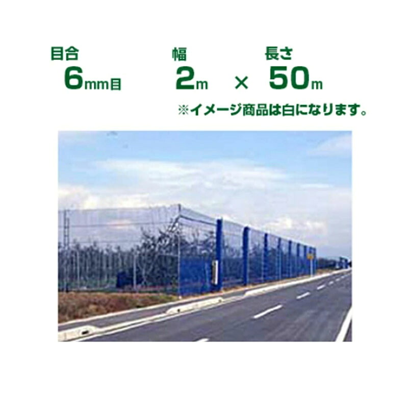 ダイオ化成 防風サイバー空間 ダイオネット 160 白 6粍目 2m×50m(防風網)(農学用)(農学原材料)(栽培所)(園芸)(身寄り家庭菜園)(代引不可)