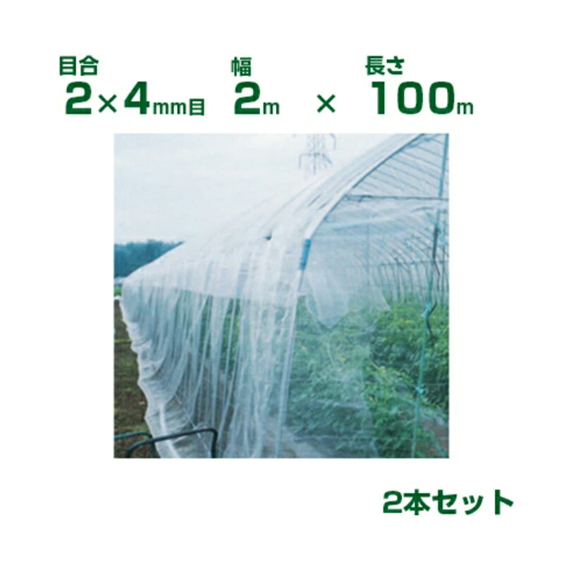 【人間宅送りとどける聞き入れる】日本広広としたはりつけ台 殺虫剤サイバー空間 殺虫剤サンサンネット N3800 目合2×4粍目 2m×100m 透光率95% 2本入 (農学用 園芸用 身寄り家庭菜園 ガーデニング 農学原材料 殺虫剤網 虫除けサイバー空間 水平坑 畑 ビニール住み家 蔬菜 網目 べたがけ 白 200珊)