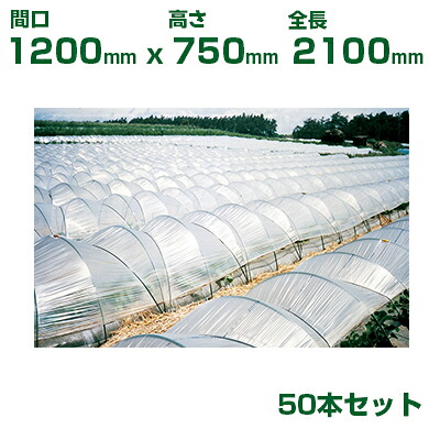 積水 ｾｷｽｲ 農業用 トンネル支柱 φ11 2型 間口1200 高さ750 全長2100 50本 グリーン