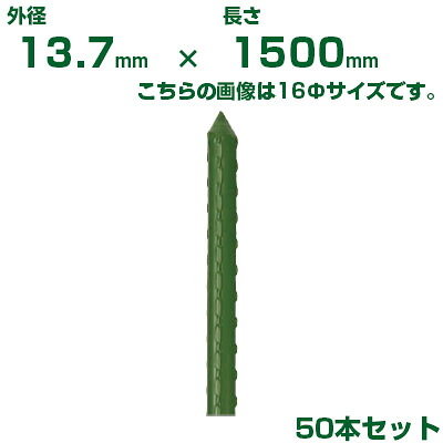 積水 ｾｷｽｲ 農業用支柱 イボ竹 グリーン φ13.7 X 1500mm 50本