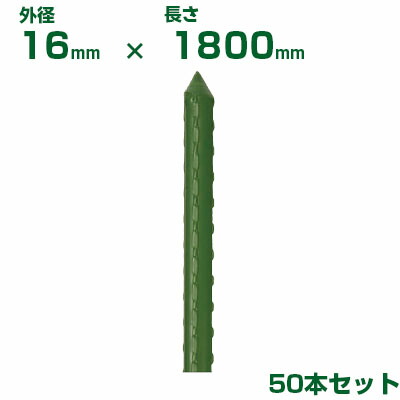 積水 ｾｷｽｲ 農業用支柱 イボ竹 グリーン φ16 X 1800mm 50本