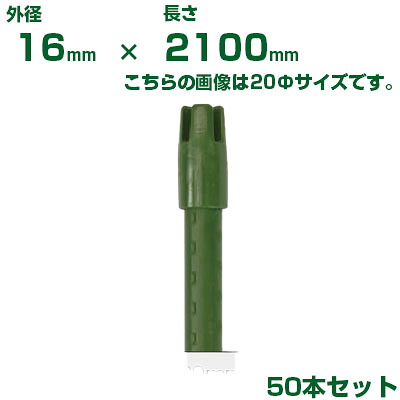 積水 ｾｷｽｲ 農業用支柱 イボ竹 グリーン φ16 X 2100mm 50本 十字キャップ付