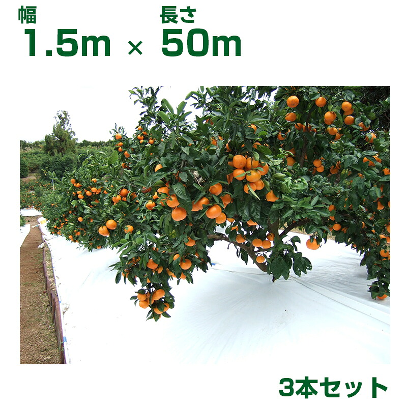 谷口産業 農業用白色反射シート TSアップシート ロール W1.5m X L50m 3本 ホワイト 33,126円