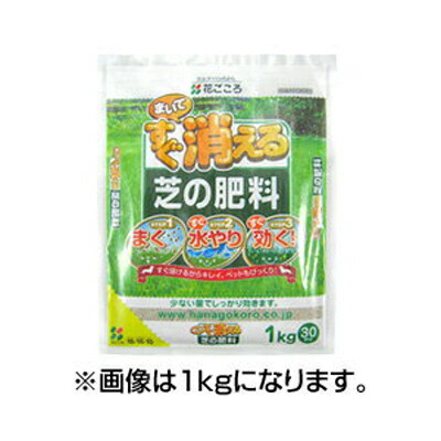 花ごころ まいてすぐ消える 芝の肥料 300g 40セット