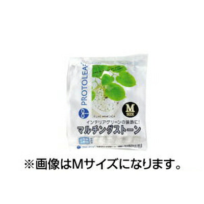 プロトリーフ マルチングストーン S ピンク 1kg x 20セット 観葉植物などのインテリアグリーンの装飾に 表土の乾燥防止や保温 保湿 玉砂利｜アグリズ店