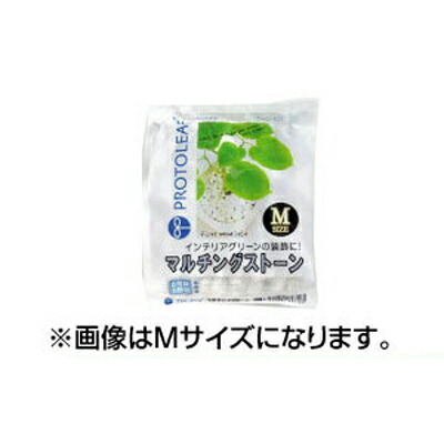 プロトリーフ マルチングストーン S グリーン 1kg x 20セット 観葉植物などのインテリアグリーンの装飾に 表土の乾燥防止や保温 保湿 玉砂利|アグリズ店