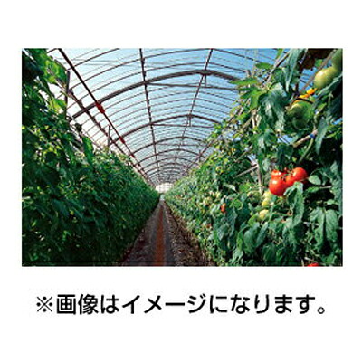 個人宅OK アキレス 外張り用 農ビ 晴天（ノンキリーあすか） 厚さ0.1mm X 巾270cm X 100m巻 農業資材 ビニールハウス 防霧滴 透明 保温 31,460円