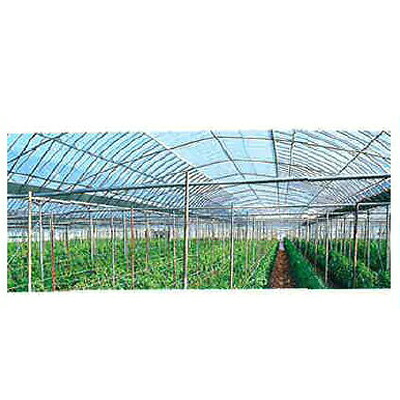 個人宅OK アキレス 内張り用 農ビ ノンキリーウチバリ 厚さ0.05mm X 巾230cm X 100m巻 農業資材 防滴強化 促成栽培 防霧滴 透明 ビニールハウス