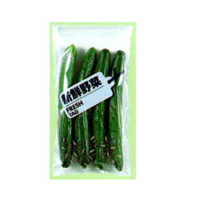 東洋紡 FG ボードン フレッシュタグ 新鮮野菜 ＃20 150×300 10000枚入【代引不可】