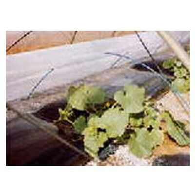 服部猛(旭化成せんい) トンネル・育苗用 不織布 E05030 マリエース 270cm×100m 3本入【代引不可】|アグリズ店