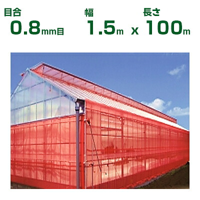 【人間宅送りとどける聞き入れる】日本広広としたはりつけ台 殺虫剤サイバー空間 サンサンネット はりつけ台赤いこと XR2700 0.8粍目 1.5m×100m 透光率70% (農学用)(園芸用)(農学原材料)(身寄り家庭菜園)(殺虫剤網)(虫よけサイバー空間)(ビニール住み家)(150珊)