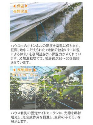 東罐トーカンシルバーポリトウ#100巾180cm厚さ0.07mm100m巻2本入水稲育苗接木栽培べたがけトンネル農PO農業資材