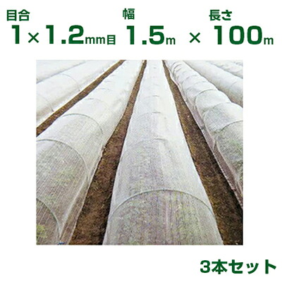 【人間宅送りとどける聞き入れる】日本広広とした差し交わす 殺虫剤サイバー空間 サンサンネット 黒 GB515 目合1×1.2粍 1.5m×100m 透光率55～60% 3本入 (農芸用 園芸用 身寄り家庭菜園 ガーデニング 農芸原材料 殺虫剤網 虫除けサイバー空間 水平坑 畑 ビニール棲み家 蔬菜 網目 べたがけ 150糎) 農業資材-ガーデニング・農業