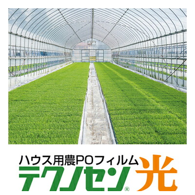 日新化学工業 農PO テクノセン光 0.15mm X 185cm X 100m巻 農業資材 ビニールハウス ブドウ 雨よけ 【代引不可】