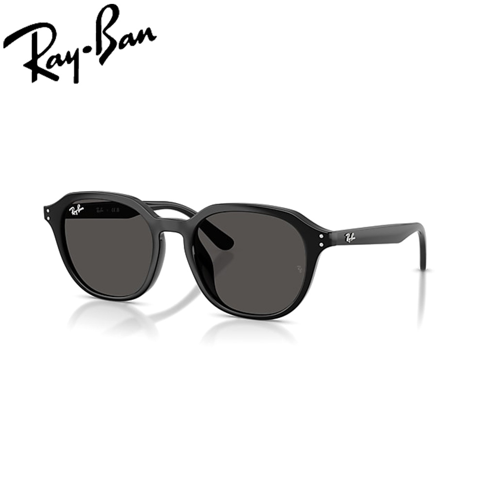 レイバン サングラス RayBan RB4459D 901/87 54 フレーム / BLACK レンズ / POLICARBONATE STANDARD DARK GREY 日本限定モデル