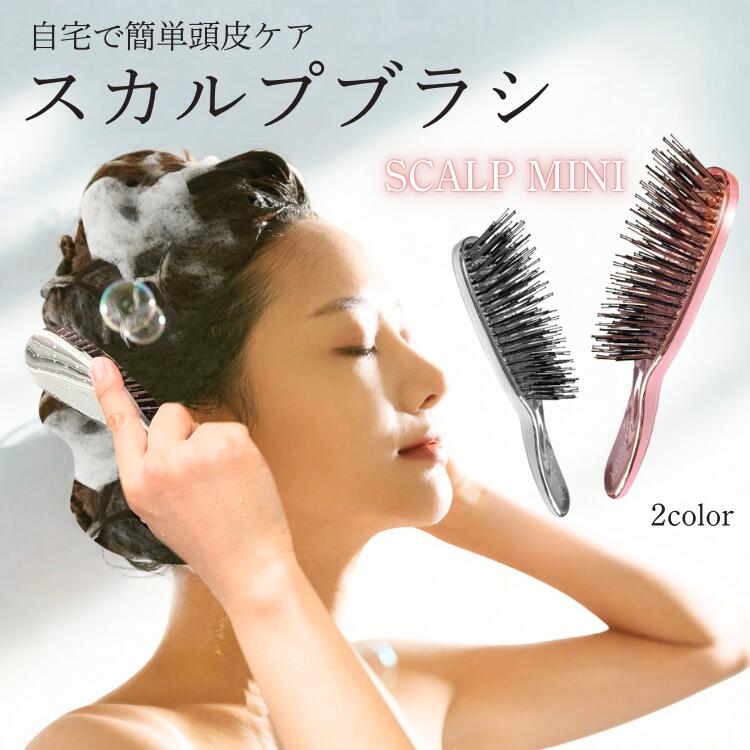 楽天市場】スカルプブラシ ミニ SCALP BRUSH ヘアブラシ くし ブラシ