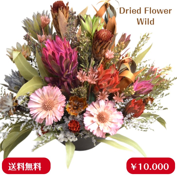 素っ気ない 取り合わせる 【ワイルド/L 】ネルボサム、 スターチス デュモサ 余分の物素っ気ない花材 熱い夏でも長日月に楽しめる素っ気ないお花
