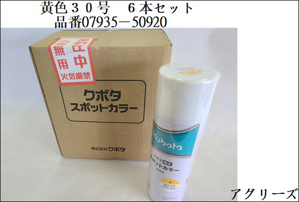 クボタ完全無欠 絵の具吹き付ける 吹き付ける缶 斑点模様色つや 480ml 黄味がかった30号 6本仕掛ける