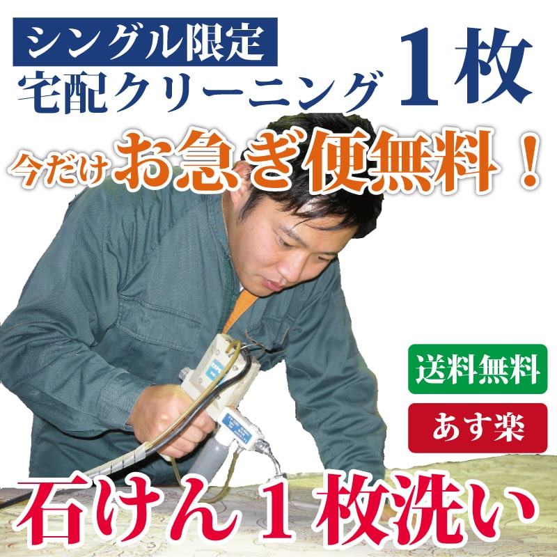 【楽天市場】布団クリーニング 特殊布団専用コース１枚 マットレス等 特殊な布団クリーニング 布団丸洗い 布団洗濯 西川AiR 整圧 ムアツ  東洋羽毛工業 トコジラミ対策 : 布団販売と丸洗いのアイクリーン