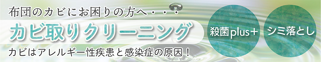 楽天市場】布団クリーニング エアウィーヴ専用 シングル ダブル 専用袋 