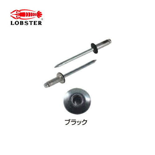 エビ/ロブテックス CNSA42B カラーブラインドリベット(丸頭)　ブラック　徳用BOX(1000本入）