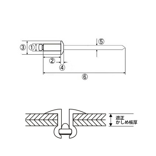 メーカー在庫あり】 (株)ロブテックス エビ ブラインドリベットラージ