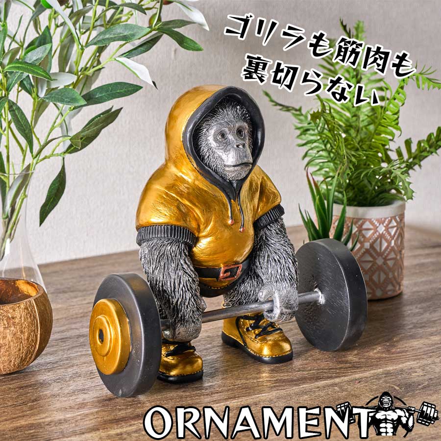楽天市場】【ベンチプレス/バーベル】 ゴールドジム ミニチュア