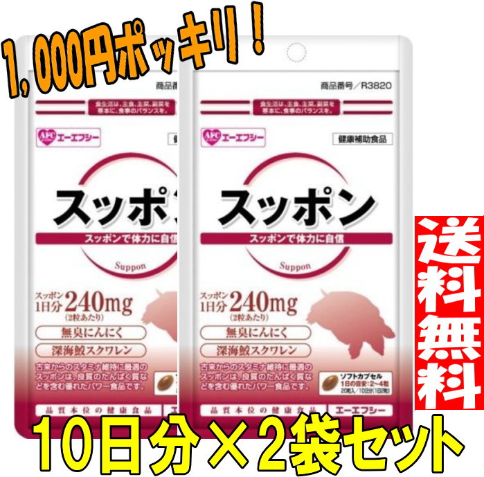 市場 1,000円ポッキリ メール便送料無料 《10日分×2袋セット 市場 1,000円ポッキリ メール便送料無料 《10日分×2袋セット